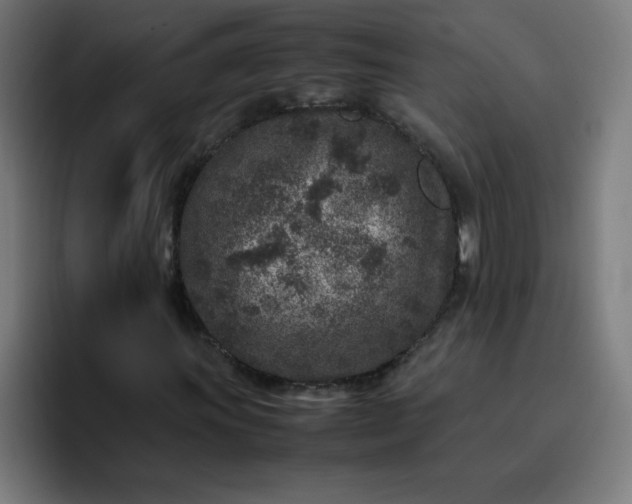 X0000096731011200802191544
