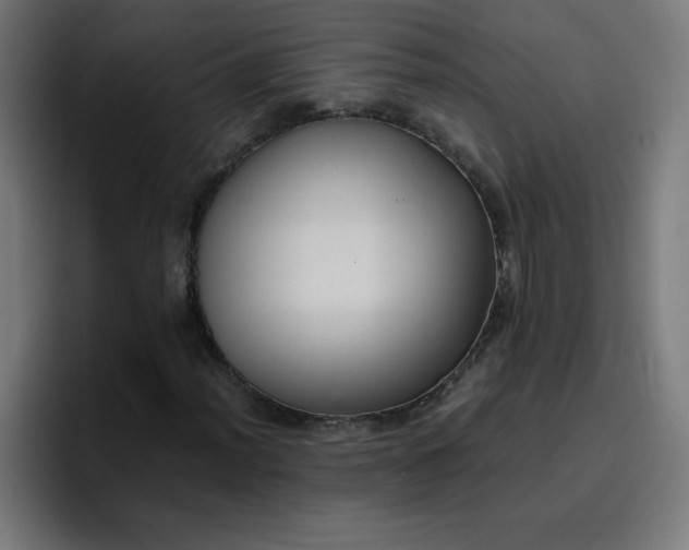 X0000096731012200802191544