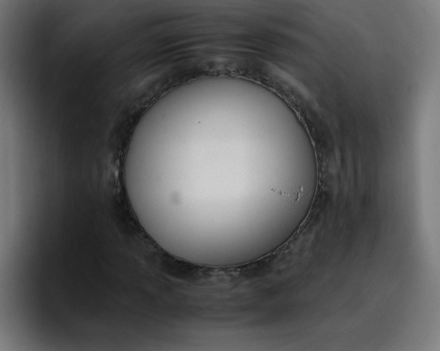 X0000096731013200802191544