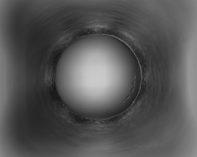 X0000096731014200802191544