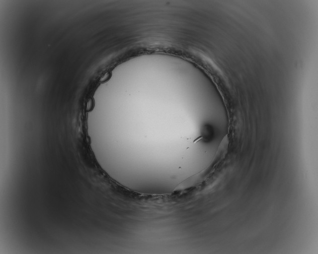 X0000096731016200802191544