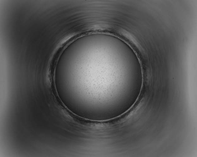 X0000096731018200802191544