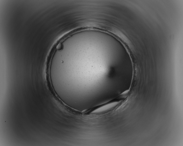 X0000096731020200802191544