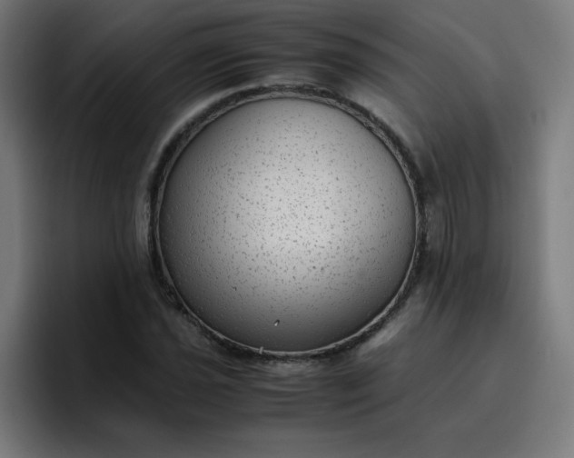 X0000096731021200802191544