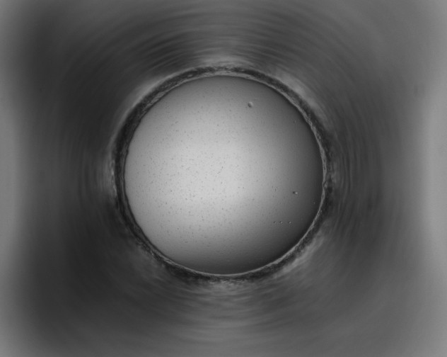 X0000096731022200802191544