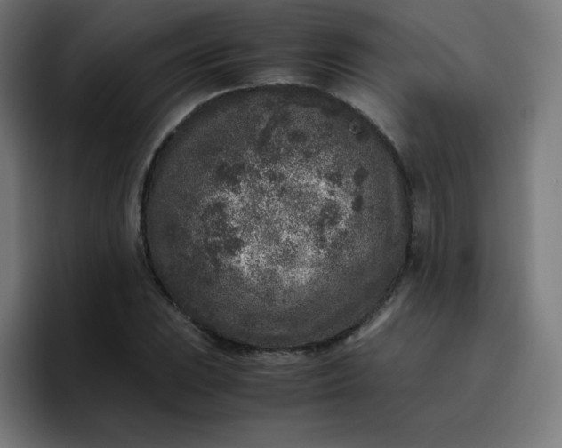 X0000096731023200802191544