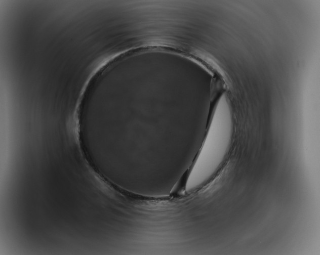 X0000096731024200802191544