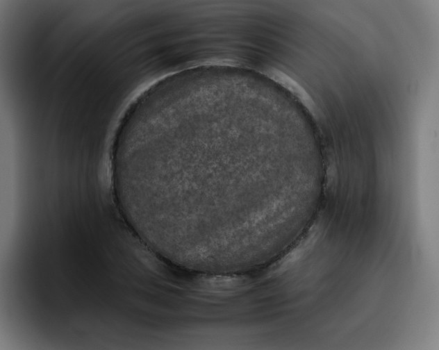 X0000096731027200802191544