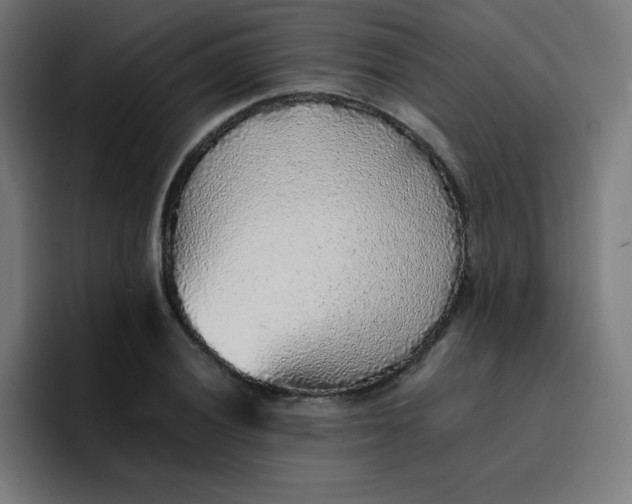 X0000096731028200802191544