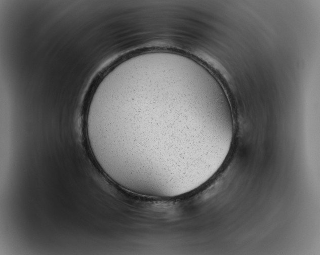 X0000096731029200802191544