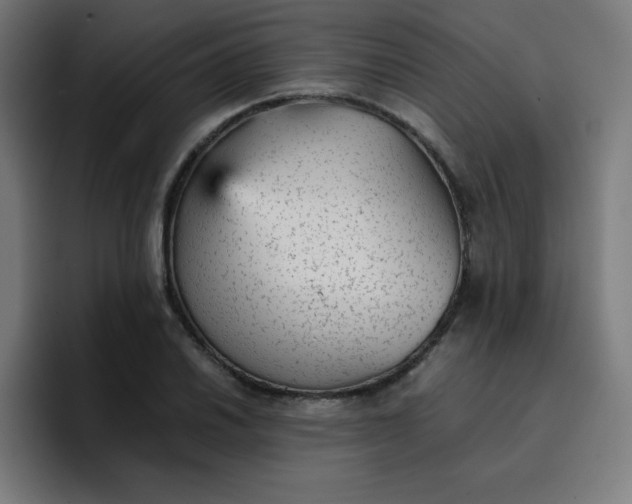 X0000096731030200802191544