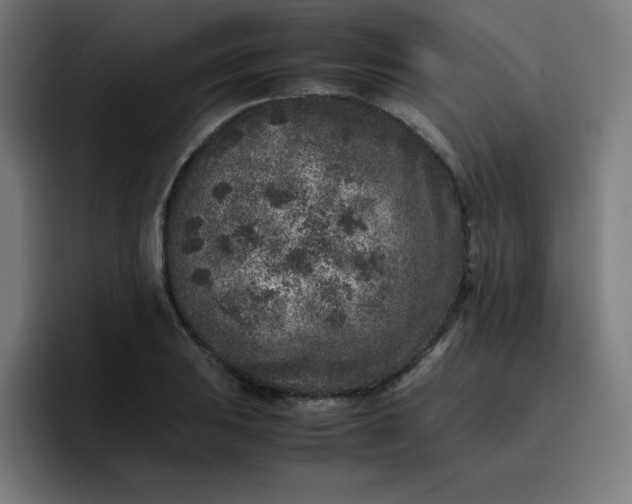 X0000096731031200802191544