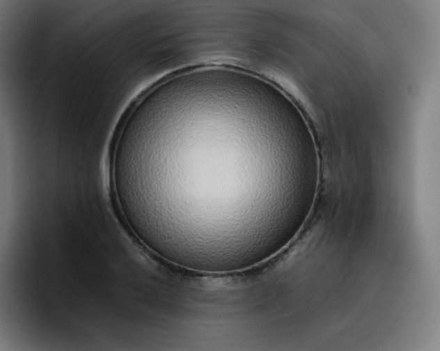 X0000096731032200802191544