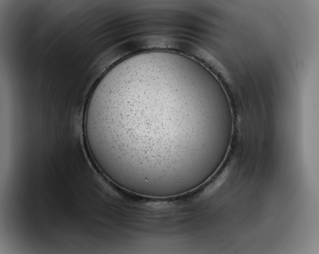 X0000096731033200802191544