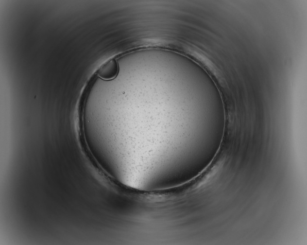 X0000096731034200802191544