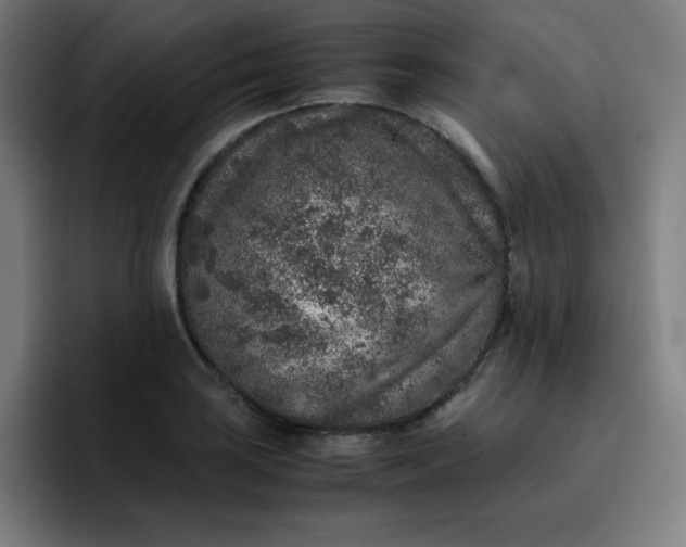 X0000096731035200802191544
