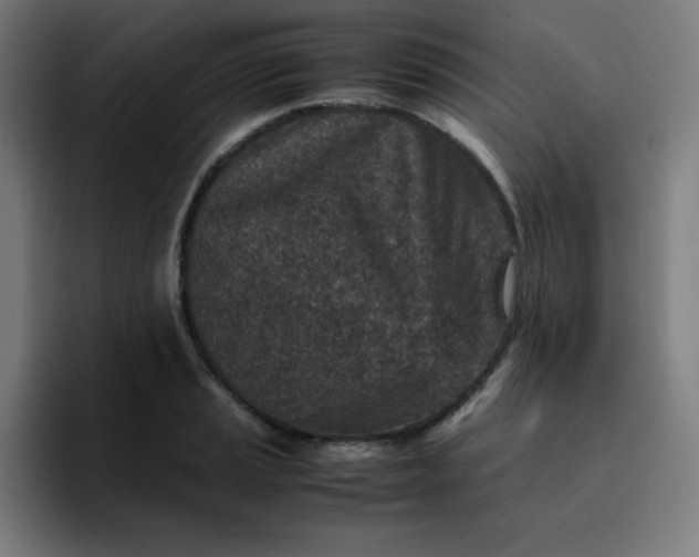 X0000096731037200802191544