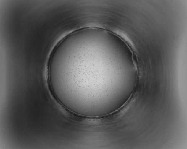 X0000096731040200802191544