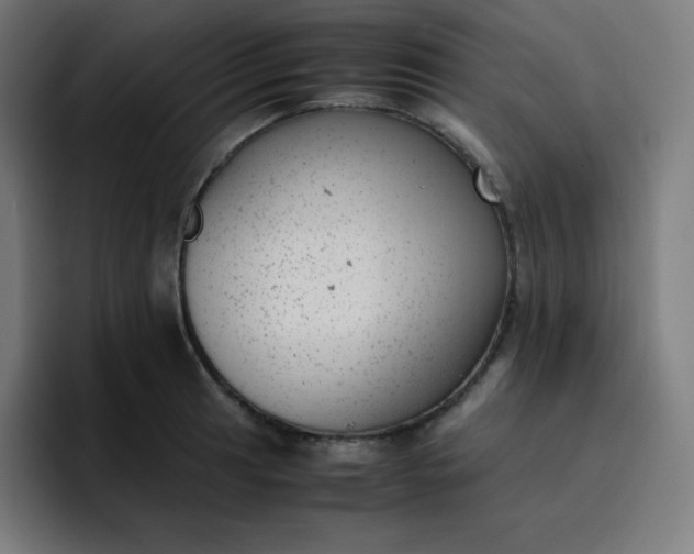 X0000096731041200802191544