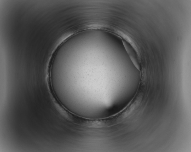 X0000096731042200802191544