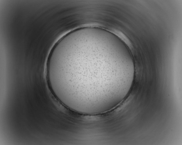 X0000096731044200802191544