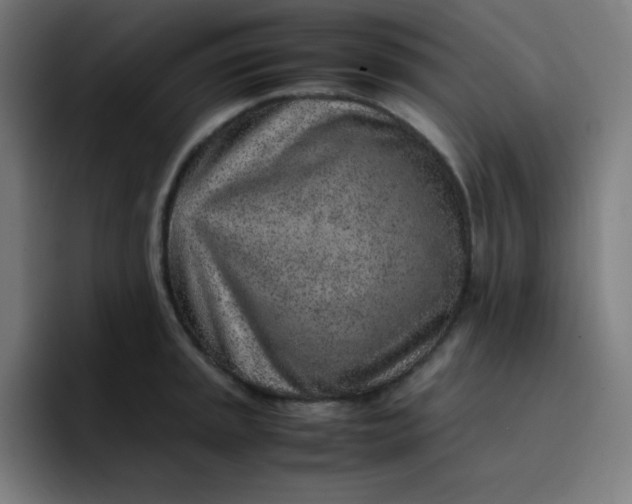 X0000096731045200802191544