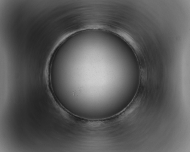 X0000096731046200802191544