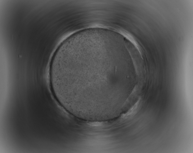 X0000096731048200802191544