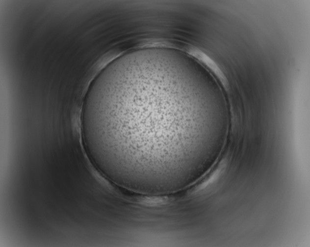X0000096731049200802191544