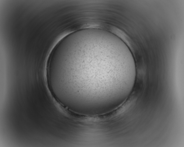 X0000096731050200802191544