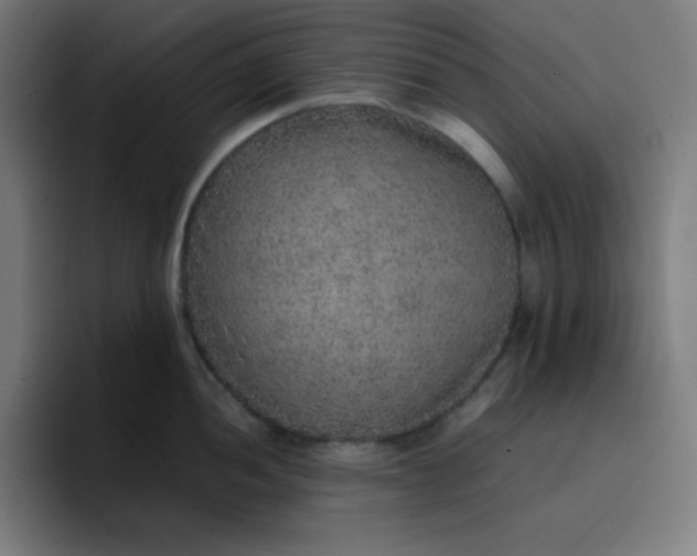 X0000096731052200802191544