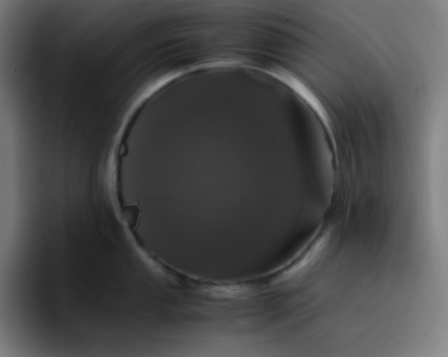 X0000096731053200802191544