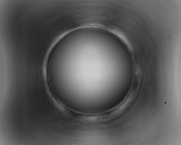 X0000096731054200802191544