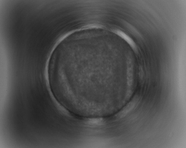 X0000096731055200802191544