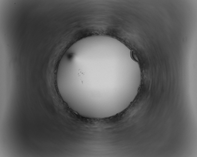 X0000096731057200802191544