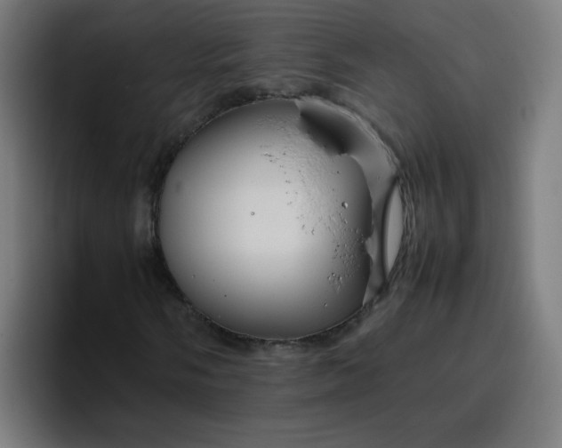 X0000096731058200802191544