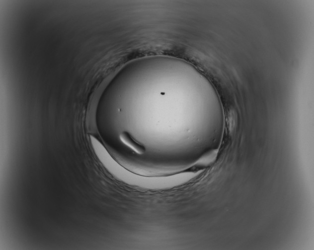 X0000096731059200802191544