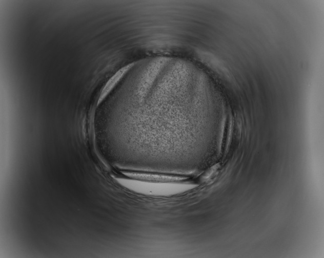 X0000096731060200802191544