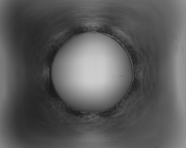 X0000096731061200802191544