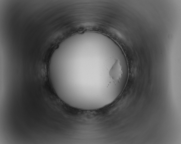X0000096731062200802191544