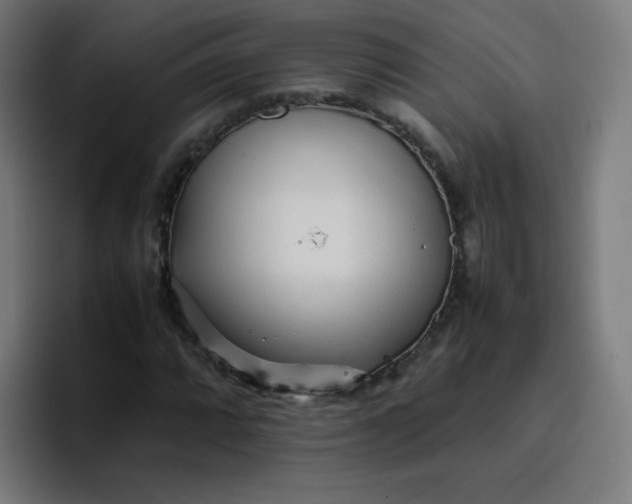 X0000096731064200802191544