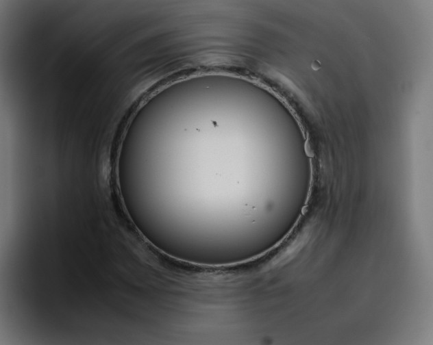 X0000096731065200802191544