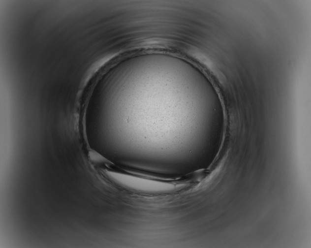 X0000096731066200802191544