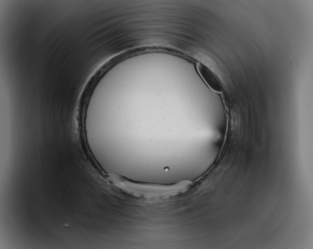 X0000096731068200802191544