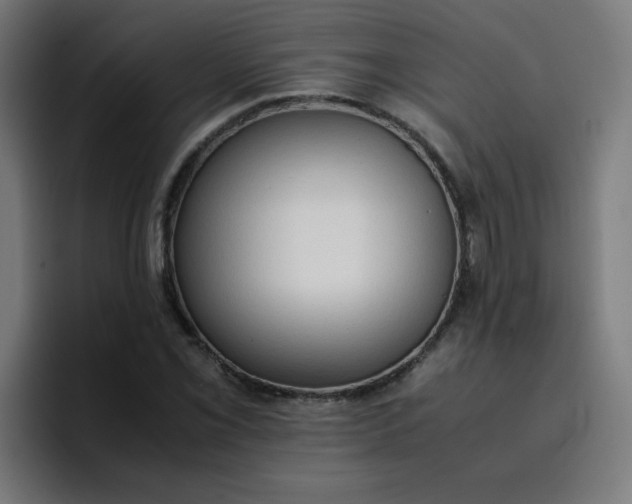 X0000096731069200802191544