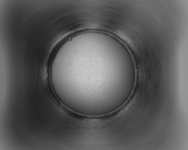 X0000096731070200802191544