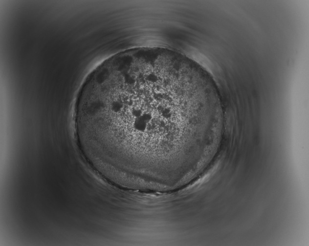 X0000096731071200802191544