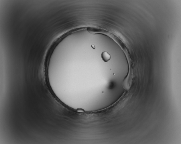 X0000096731072200802191544