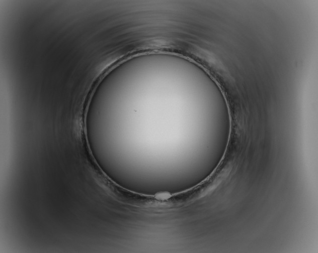X0000096731073200802191544
