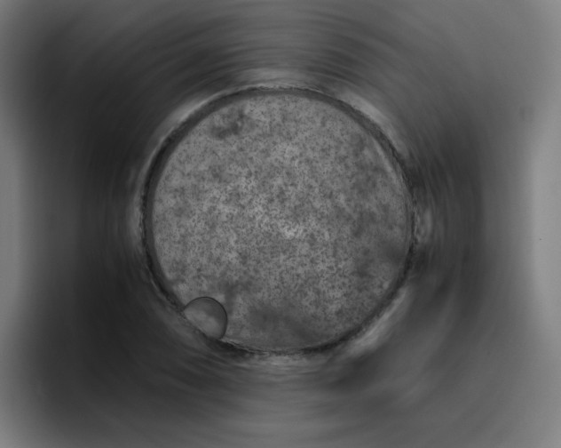 X0000096731074200802191544